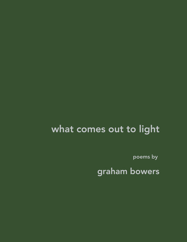 what comes out to light – E-bok – Laddas ner-Digitala böcker-Axiell-peaceofhome.se