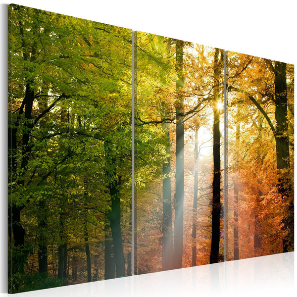 Canvas Tavla - A calm autumn forest-Tavla Canvas-Artgeist-60x40-peaceofhome.se