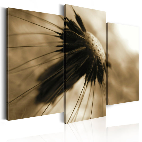 Canvas Tavla - A dandelion in sepia-Tavla Canvas-Artgeist-60x50-peaceofhome.se