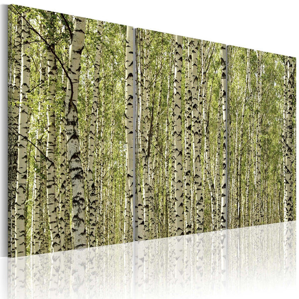 Canvas Tavla - A forest of birch trees-Tavla Canvas-Artgeist-60x40-peaceofhome.se