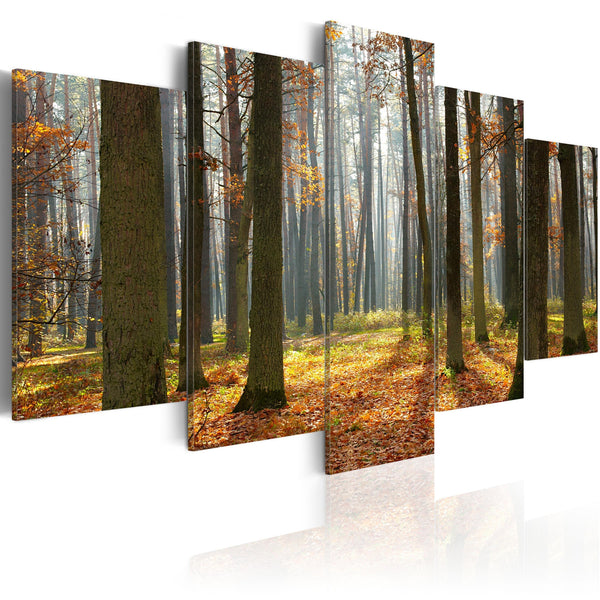 Canvas Tavla - A nice forest landscape-Tavla Canvas-Artgeist-100x50-peaceofhome.se