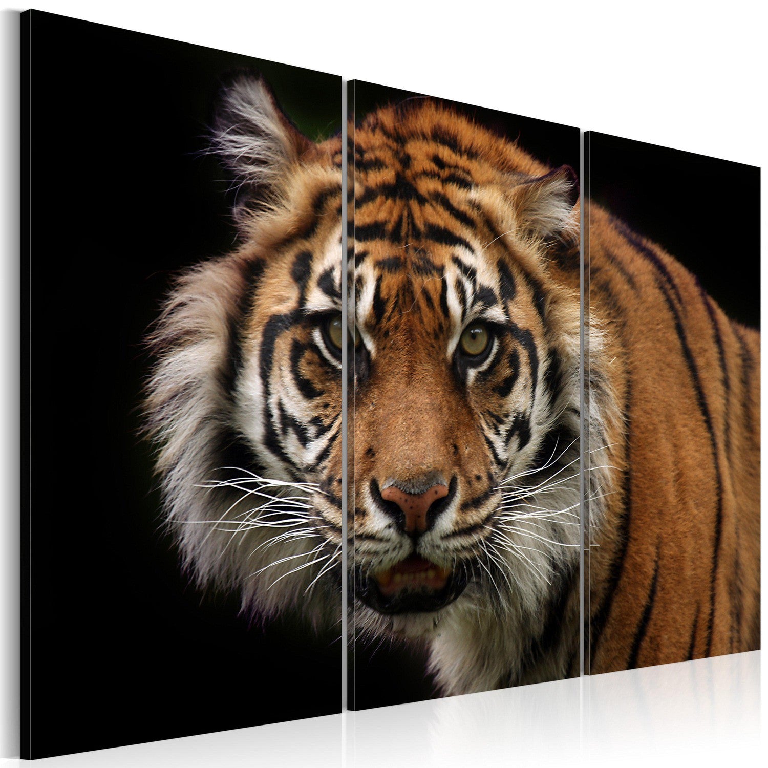 Canvas Tavla - A wild tiger-Tavla Canvas-Artgeist-60x40-peaceofhome.se