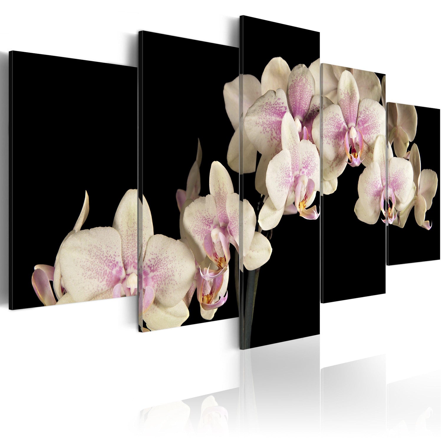 Canvas Tavla - An orchid on a contrasting background-Tavla Canvas-Artgeist-100x50-peaceofhome.se