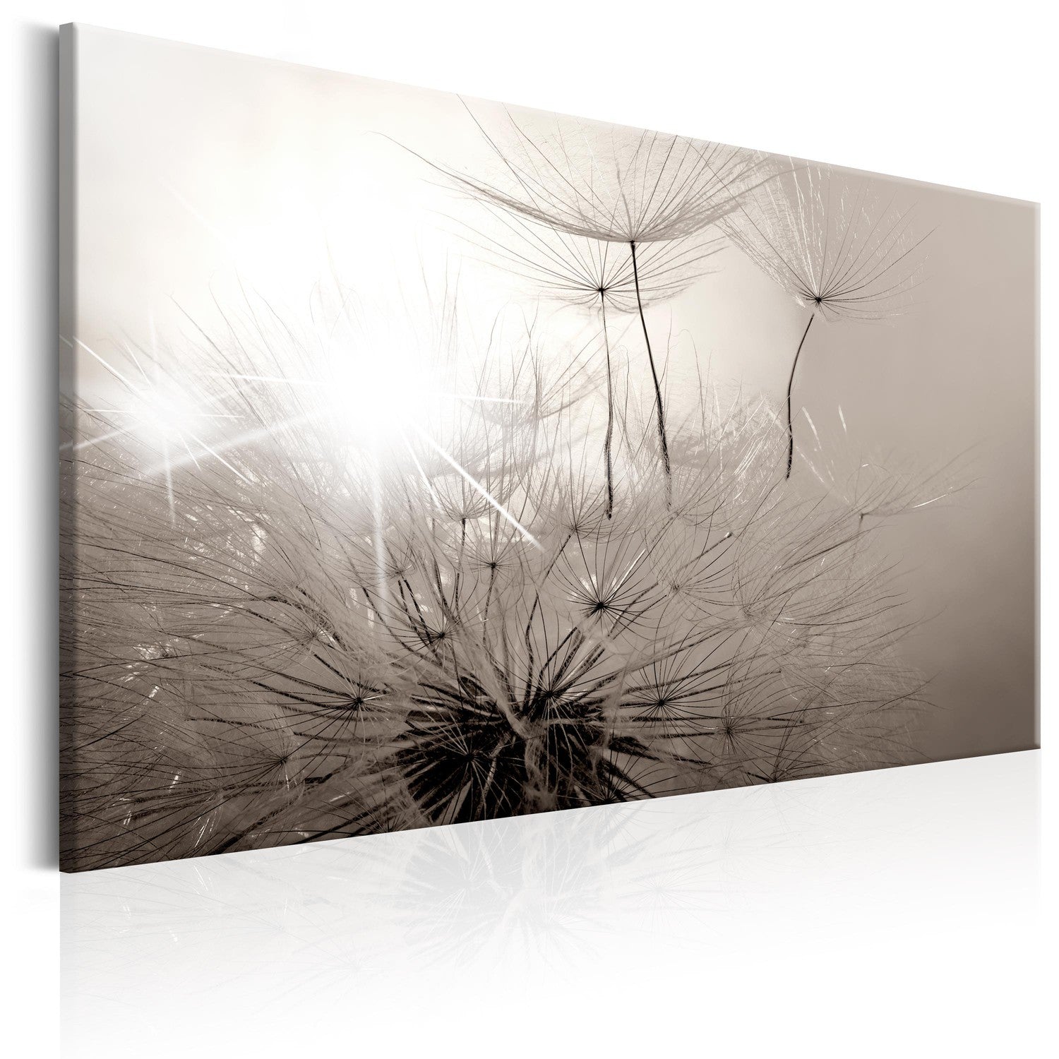 Canvas Tavla - Beautiful Summer: Dandelions-Tavla Canvas-Artgeist-90x60-peaceofhome.se