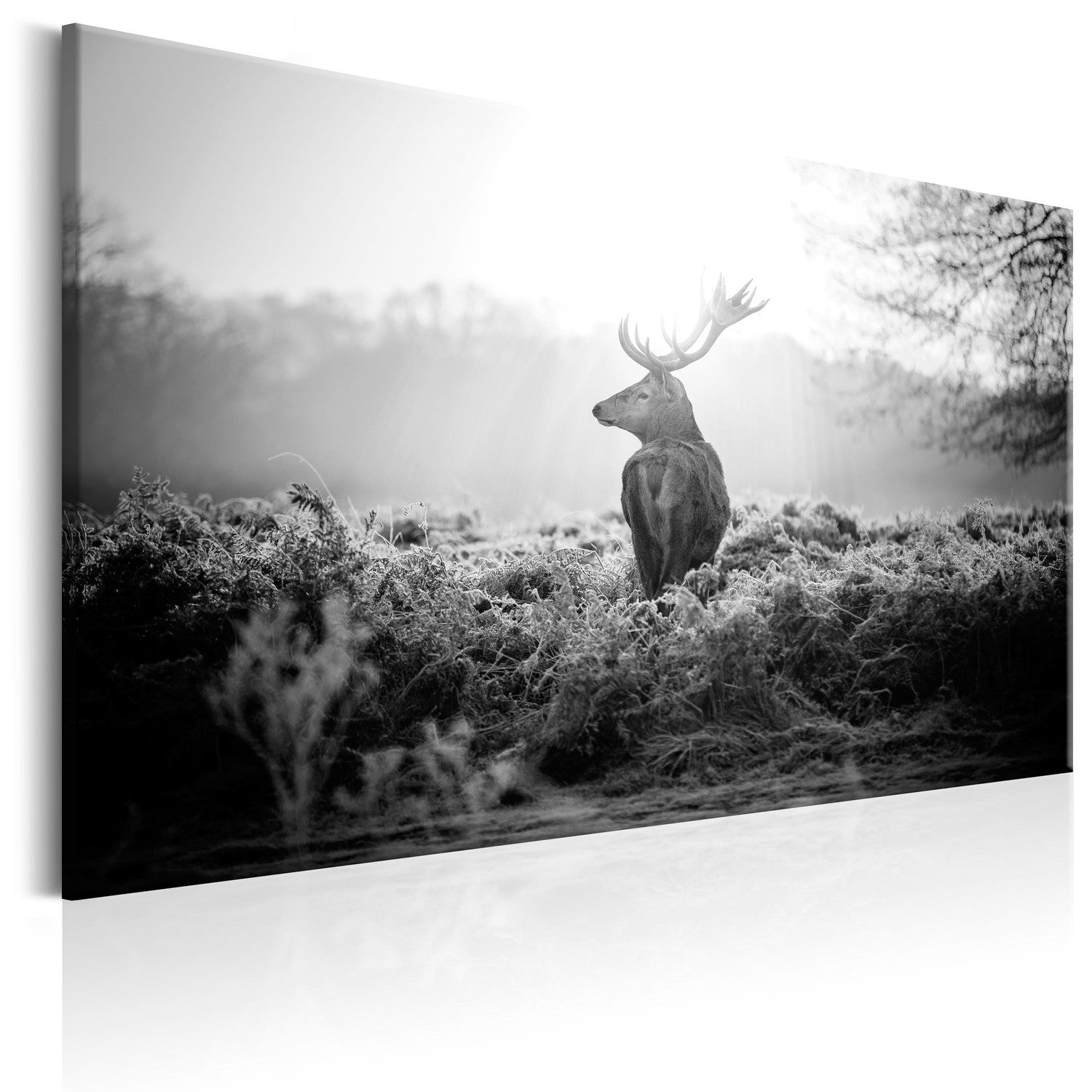 Canvas Tavla - Black and White Deer-Tavla Canvas-Artgeist-90x60-peaceofhome.se