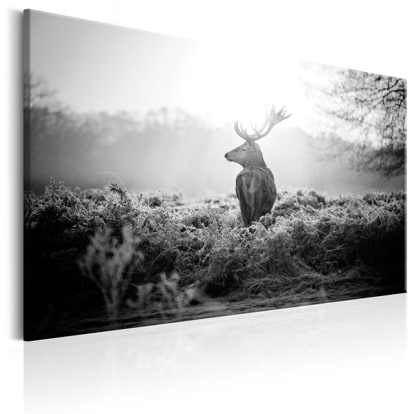 Canvas Tavla - Black and White Deer-Tavla Canvas-Artgeist-90x60-peaceofhome.se