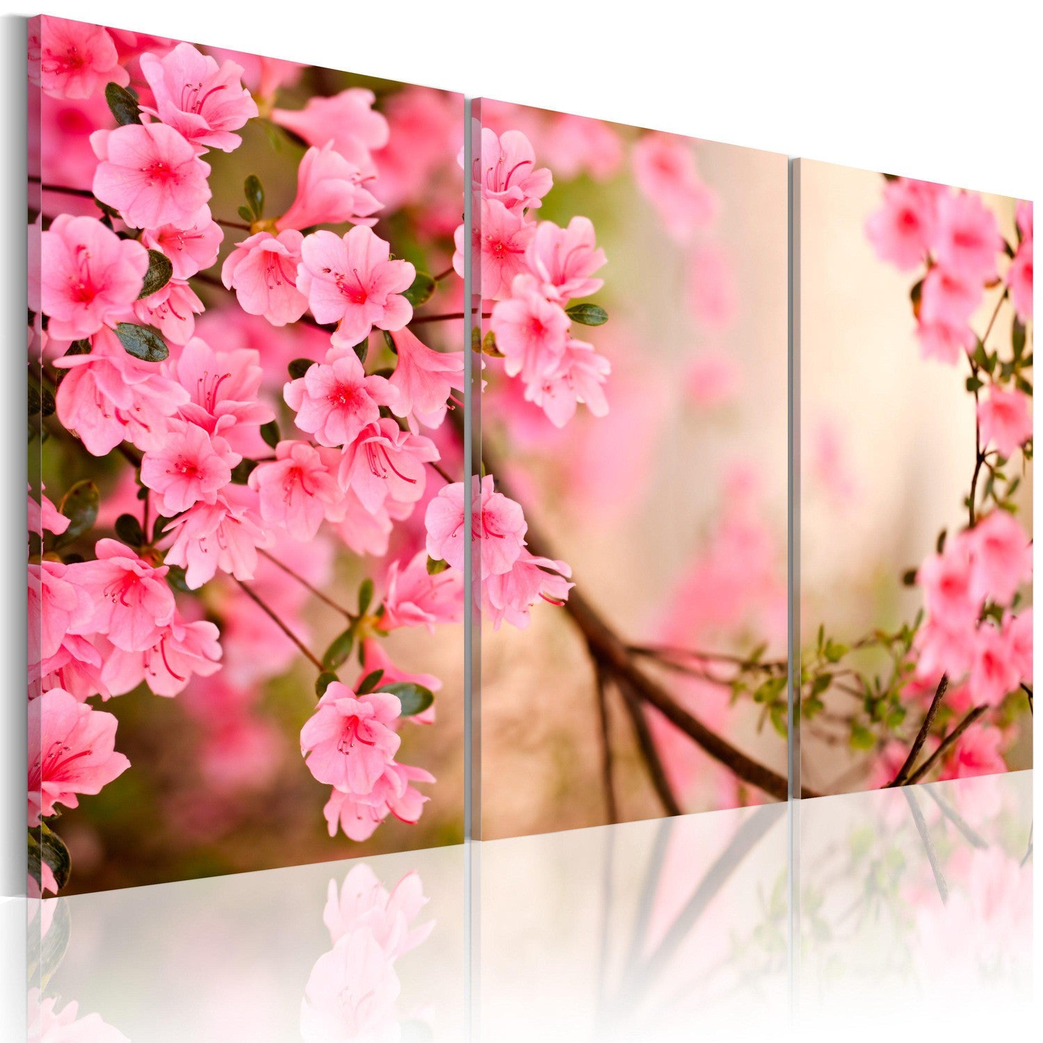 Canvas Tavla - Cherry flower-Tavla Canvas-Artgeist-60x40-peaceofhome.se