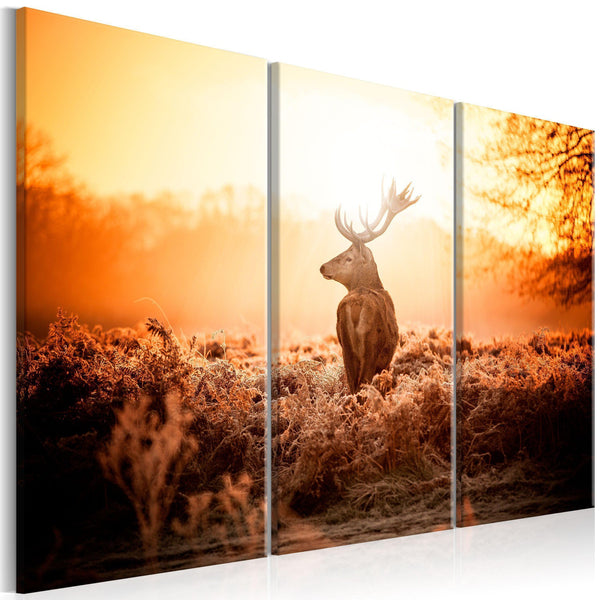 Canvas Tavla - Deer in the Sun I-Tavla Canvas-Artgeist-90x60-peaceofhome.se