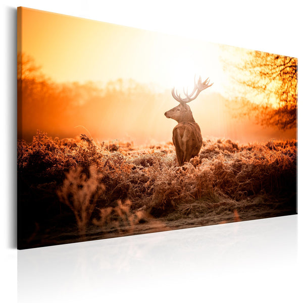Canvas Tavla - Deer in the Sun-Tavla Canvas-Artgeist-90x60-peaceofhome.se