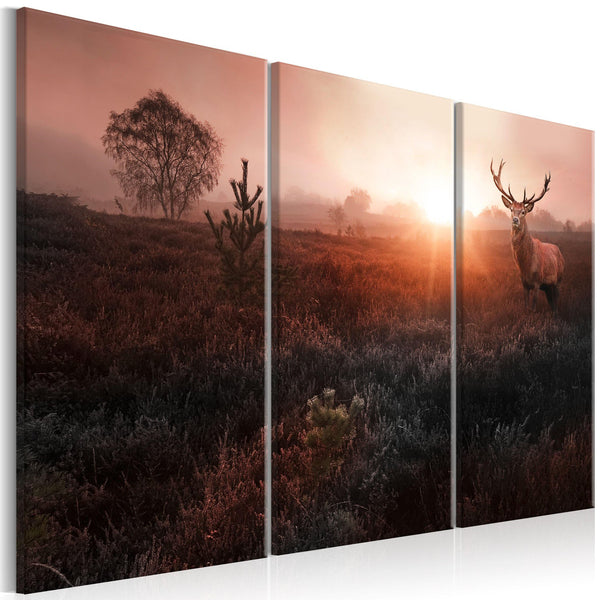 Canvas Tavla - Deer in the Sunshine I-Tavla Canvas-Artgeist-90x60-peaceofhome.se