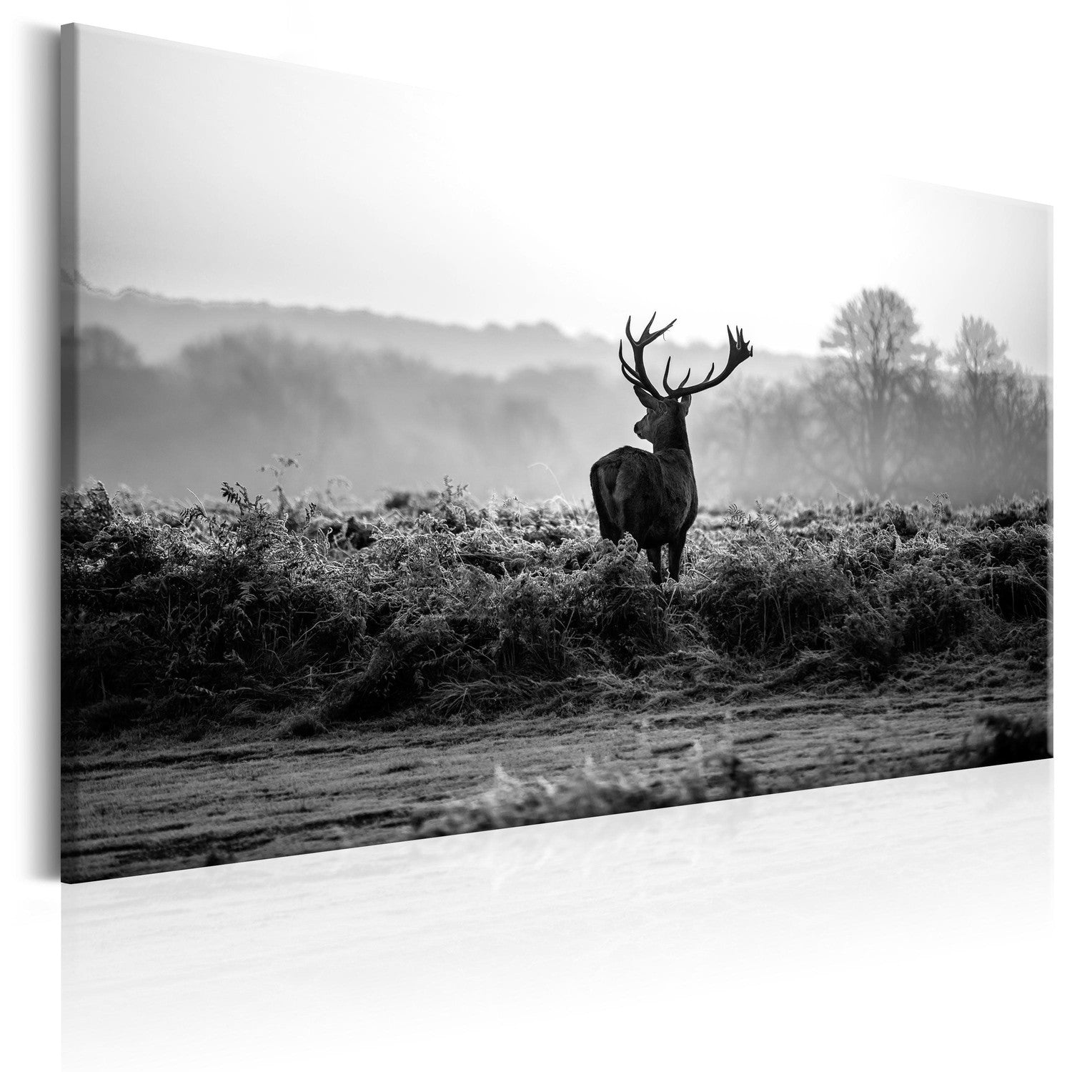 Canvas Tavla - Deer in the Wild-Tavla Canvas-Artgeist-90x60-peaceofhome.se