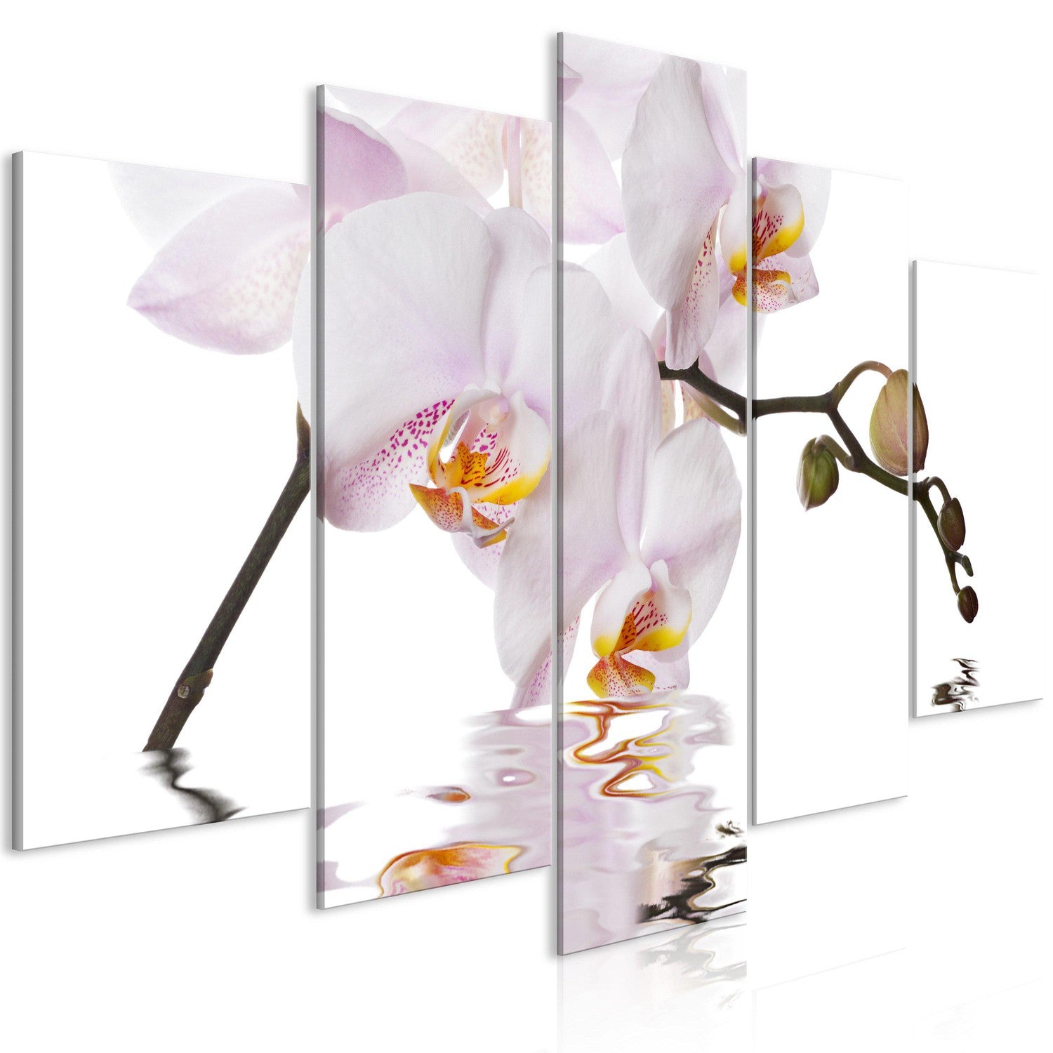 Canvas Tavla - Delightful Orchid (5 delar) Wide-Tavla Canvas-Artgeist-100x50-peaceofhome.se