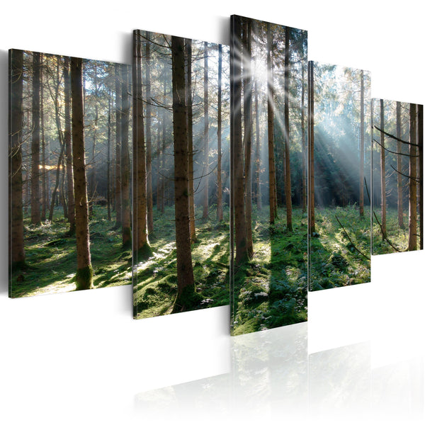 Canvas Tavla - Fairytale Forest-Tavla Canvas-Artgeist-100x50-peaceofhome.se