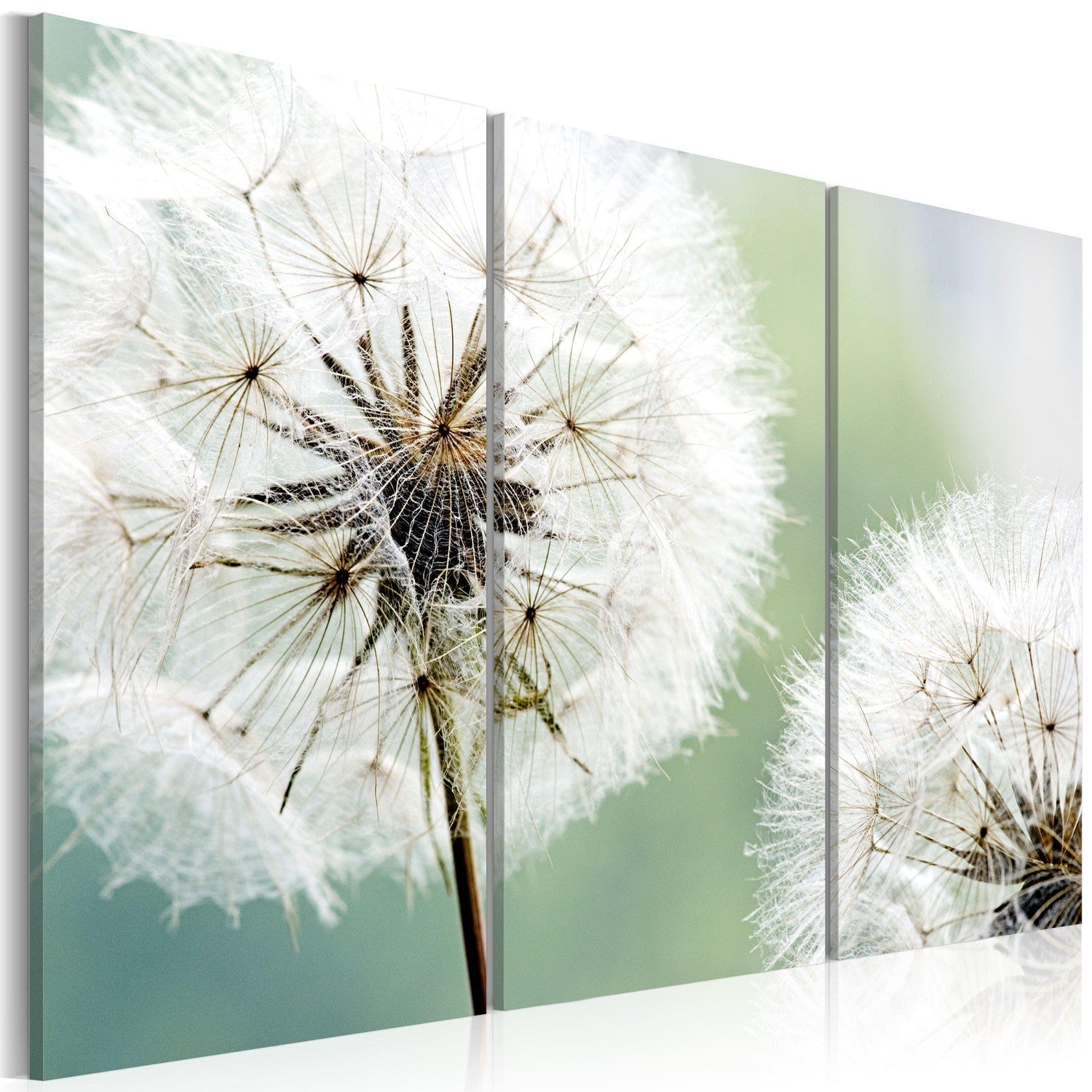 Canvas Tavla - Fluffy dandelions-Tavla Canvas-Artgeist-60x40-peaceofhome.se
