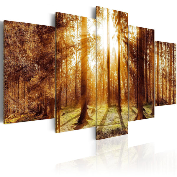 Canvas Tavla - Forest Illumination-Tavla Canvas-Artgeist-100x50-peaceofhome.se