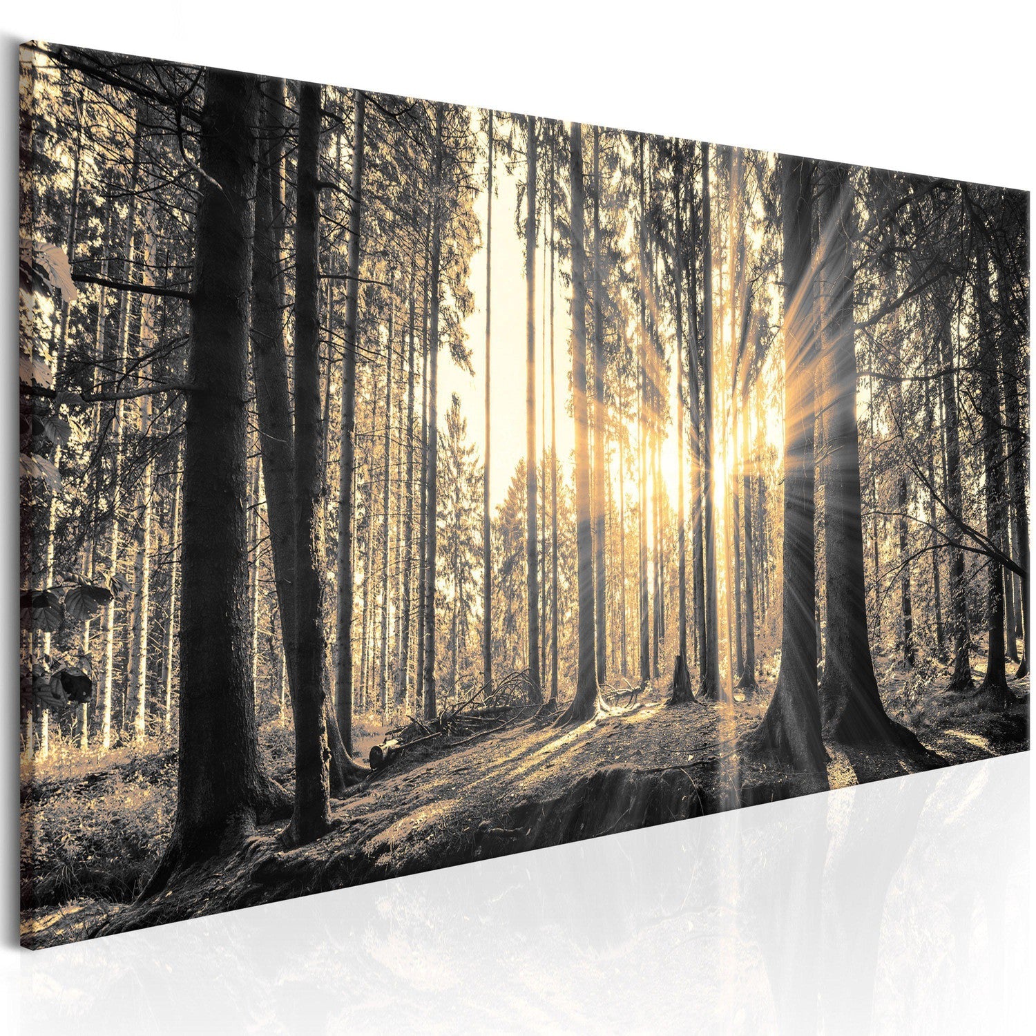 Canvas Tavla - Forest Sun-Tavla Canvas-Artgeist-120x40-peaceofhome.se