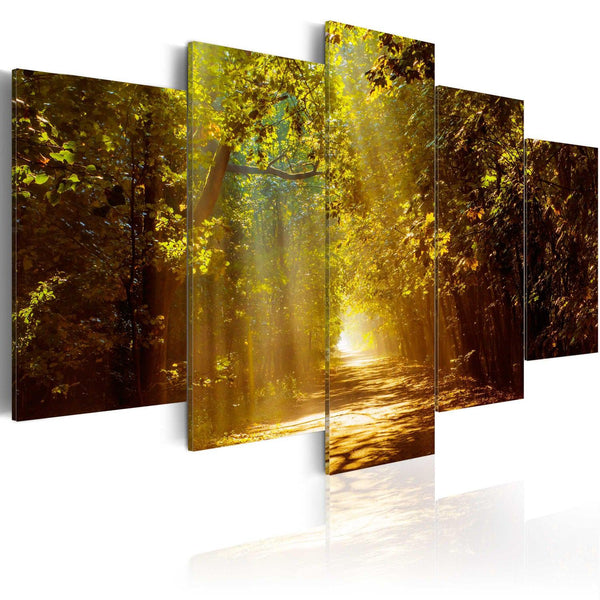 Canvas Tavla - Forest in the Sunlight-Tavla Canvas-Artgeist-100x50-peaceofhome.se