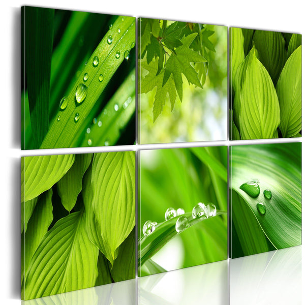 Canvas Tavla - Fresh green leaves-Tavla Canvas-Artgeist-60x40-peaceofhome.se