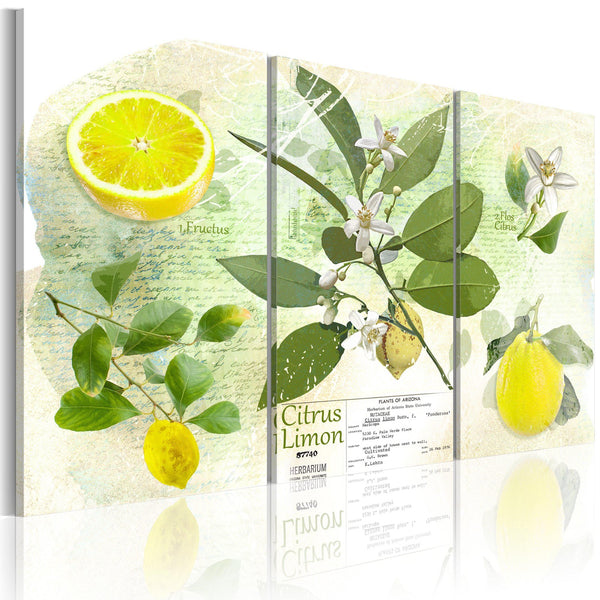 Canvas Tavla - Fruit: lemon-Tavla Canvas-Artgeist-60x40-peaceofhome.se