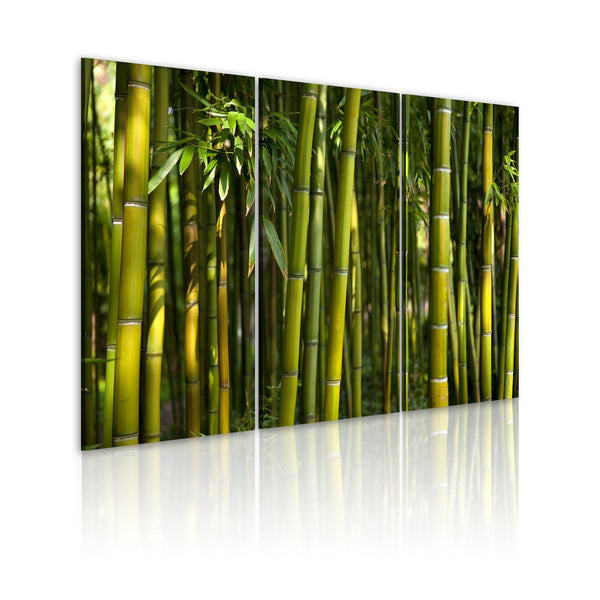 Canvas Tavla - Green bamboo-Tavla Canvas-Artgeist-60x40-peaceofhome.se