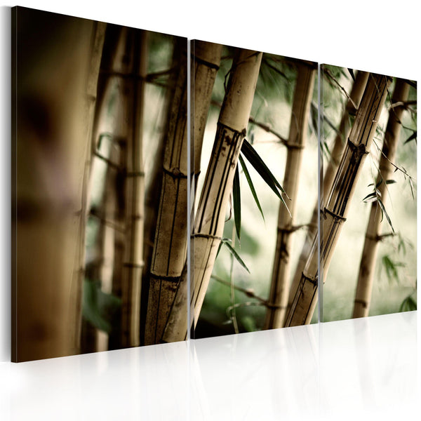 Canvas Tavla - In a tropical forest-Tavla Canvas-Artgeist-60x40-peaceofhome.se