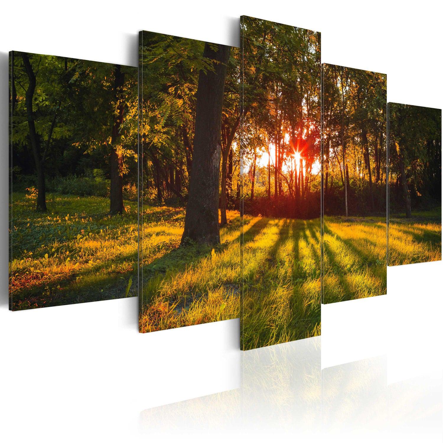 Canvas Tavla - In the shade of forest-Tavla Canvas-Artgeist-100x50-peaceofhome.se