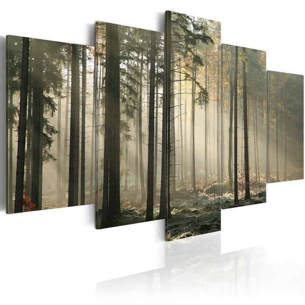 Canvas Tavla - Light in a dark forest-Tavla Canvas-Artgeist-100x50-peaceofhome.se