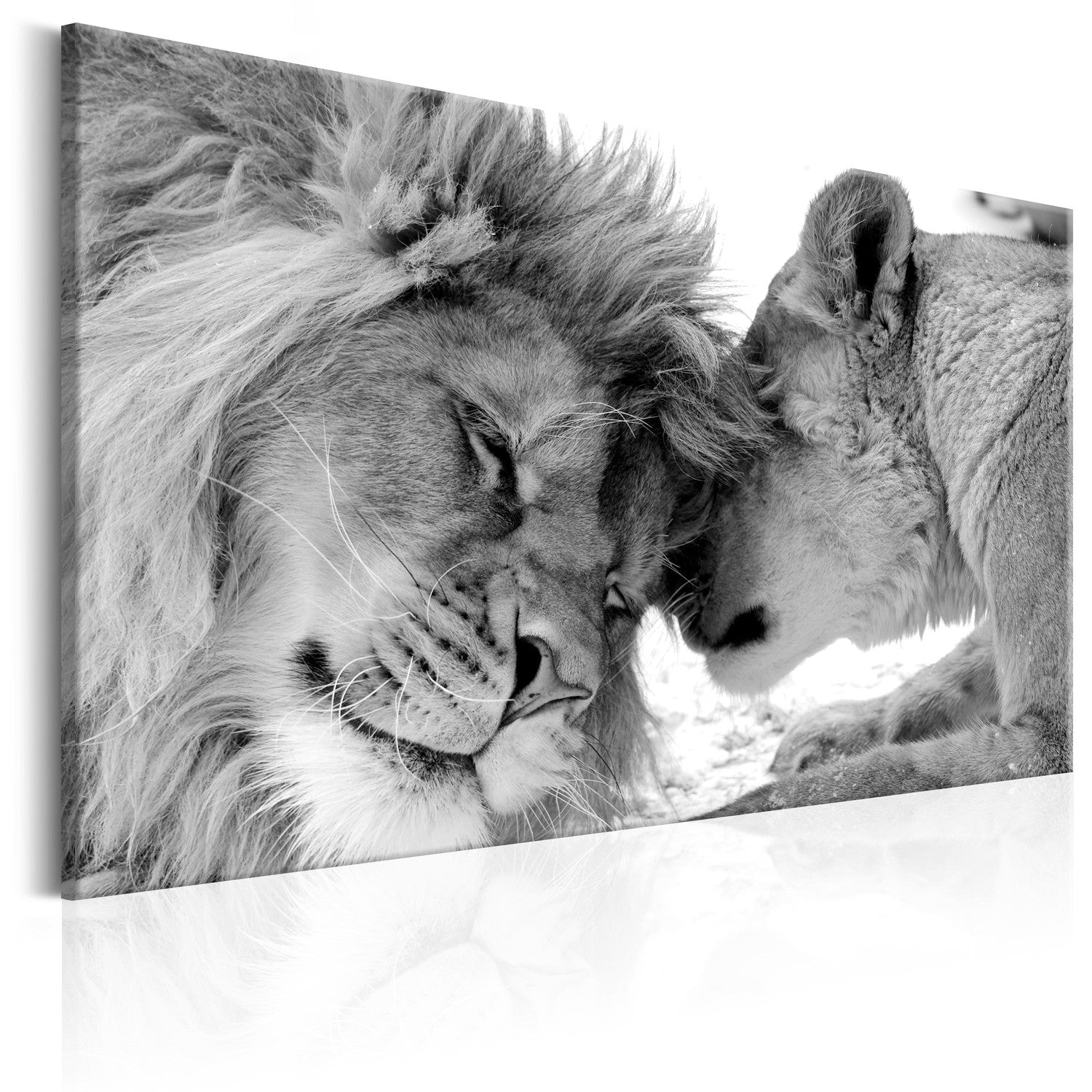 Canvas Tavla - Lion's Love-Tavla Canvas-Artgeist-60x40-peaceofhome.se