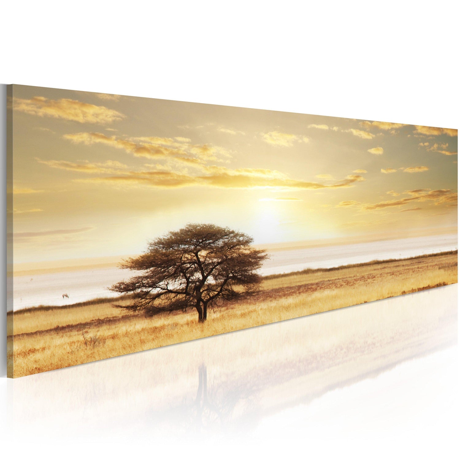 Canvas Tavla - Lonely tree on savannah-Tavla Canvas-Artgeist-120x40-peaceofhome.se