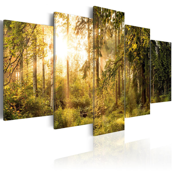 Canvas Tavla - Magic of Forest-Tavla Canvas-Artgeist-100x50-peaceofhome.se