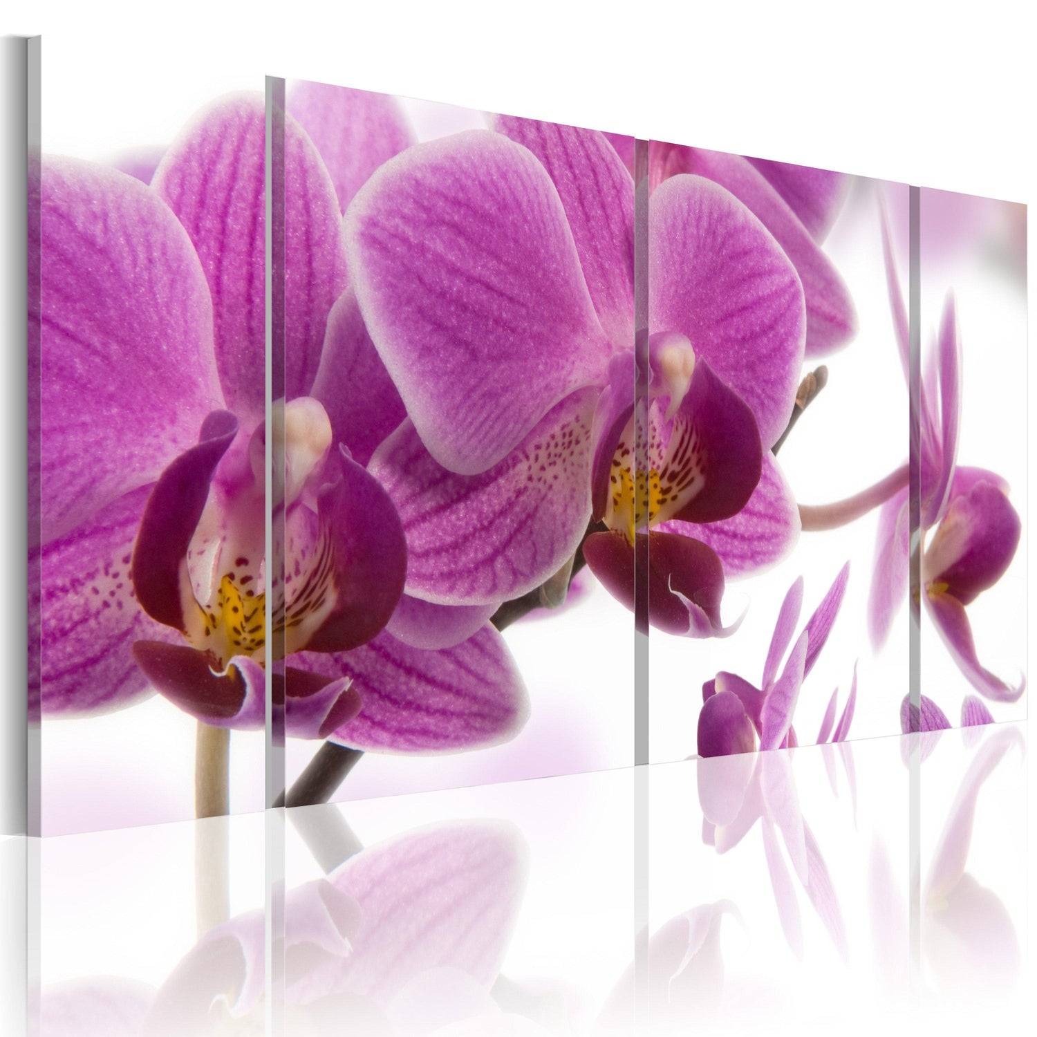 Canvas Tavla - Marvelous orchid-Tavla Canvas-Artgeist-60x30-peaceofhome.se