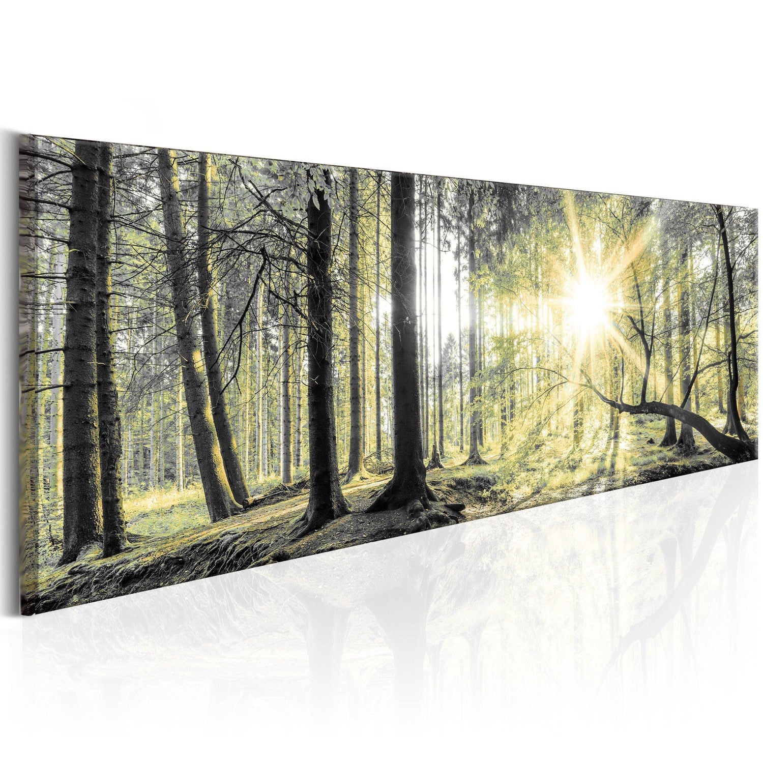 Canvas Tavla - Morning Forest-Tavla Canvas-Artgeist-120x40-peaceofhome.se