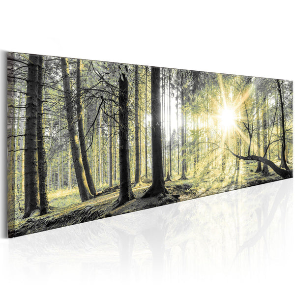 Canvas Tavla - Morning Forest-Tavla Canvas-Artgeist-120x40-peaceofhome.se