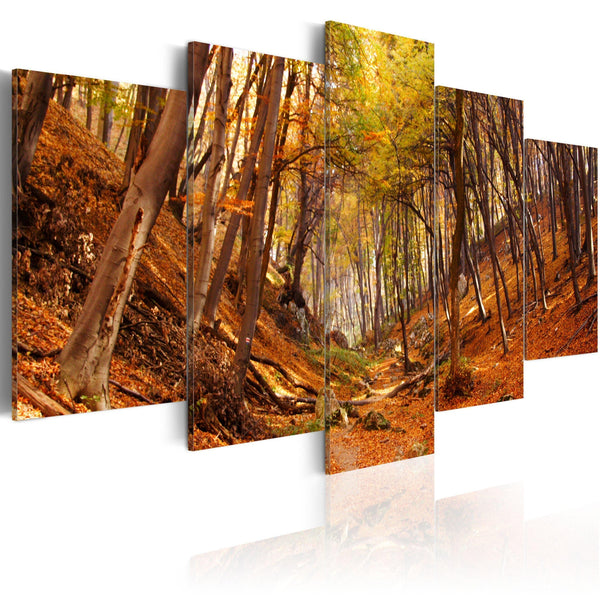 Canvas Tavla - Orange autumn-Tavla Canvas-Artgeist-100x50-peaceofhome.se