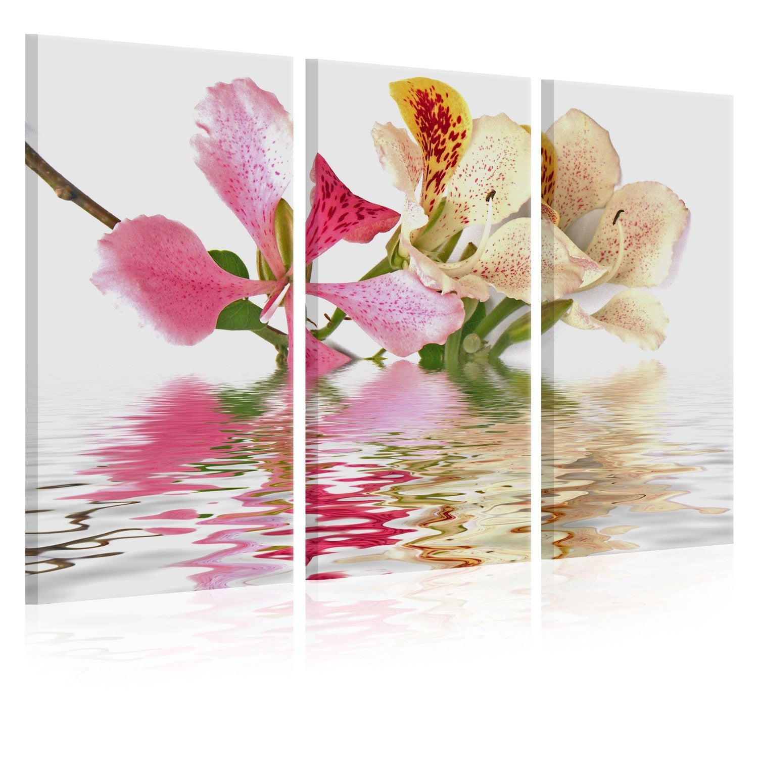 Canvas Tavla - Orchid with colorful spots-Tavla Canvas-Artgeist-60x40-peaceofhome.se