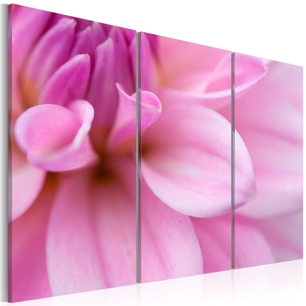 Canvas Tavla - Pink dahlia-Tavla Canvas-Artgeist-60x40-peaceofhome.se