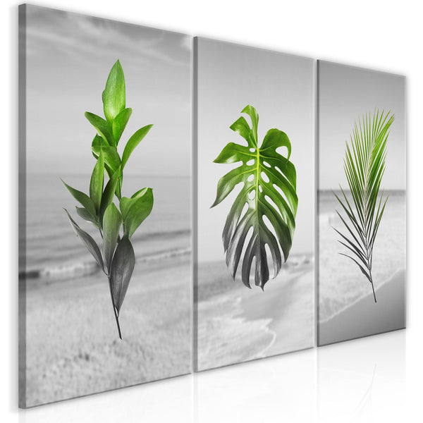 Canvas Tavla - Plants (Collection)-Tavla Canvas-Artgeist-60x30-peaceofhome.se