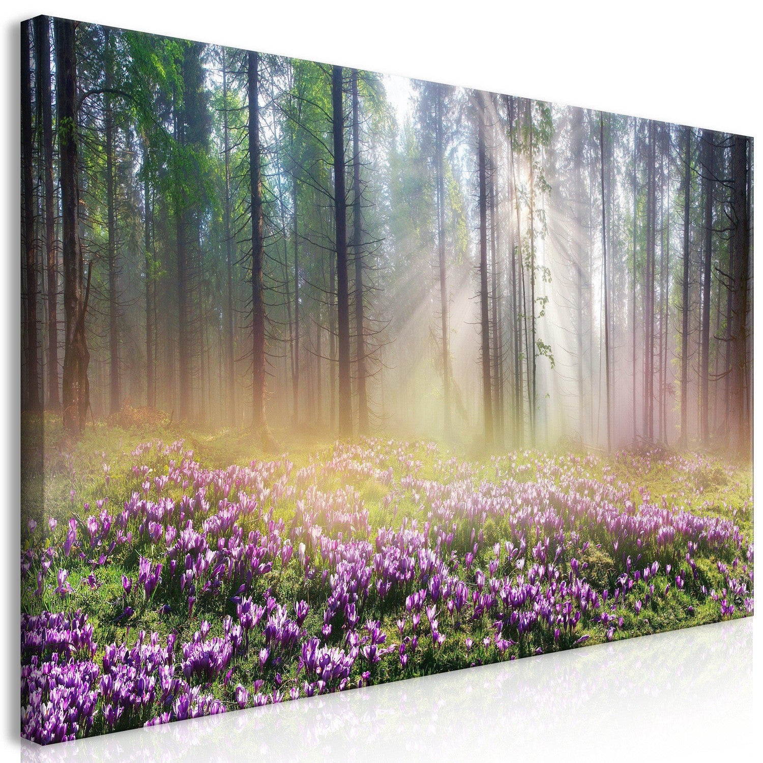 Canvas Tavla - Purple Meadow Wide-Tavla Canvas-Artgeist-70x35-peaceofhome.se