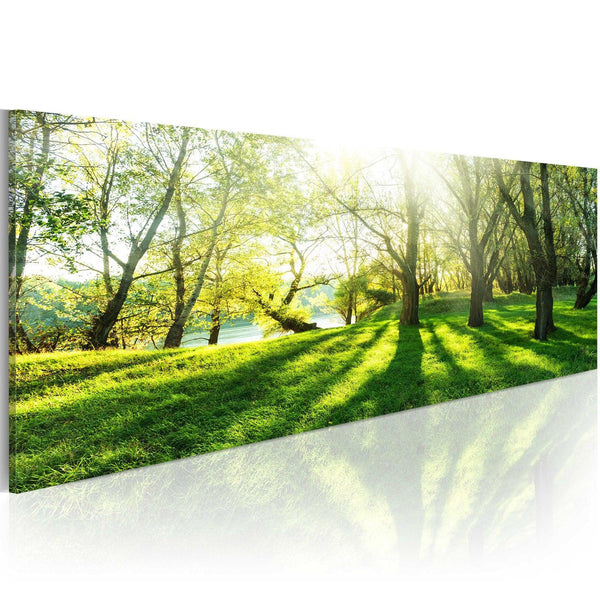 Canvas Tavla - Rays of Sunshine-Tavla Canvas-Artgeist-120x40-peaceofhome.se