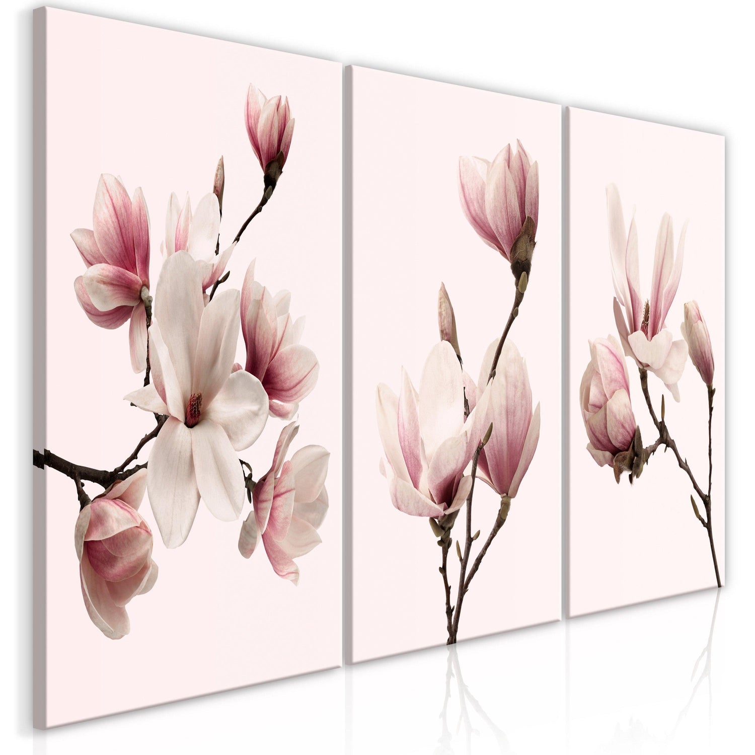 Canvas Tavla - Spring Magnolias (3 delar)-Tavla Canvas-Artgeist-120x60-peaceofhome.se