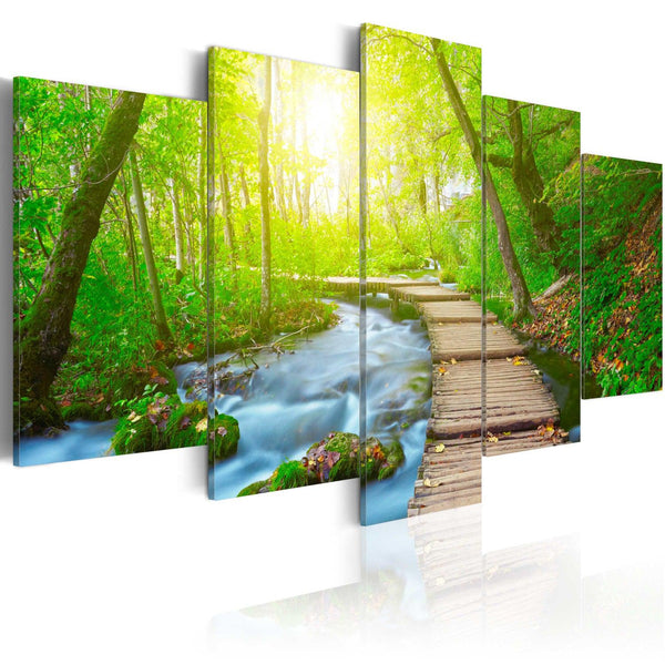 Canvas Tavla - Sunny Forest-Tavla Canvas-Artgeist-100x50-peaceofhome.se