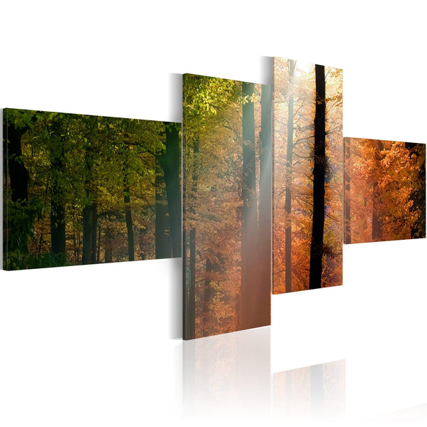 Canvas Tavla - Sunrays between trees-Tavla Canvas-Artgeist-100x45-peaceofhome.se
