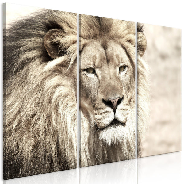 Canvas Tavla - The King of Beasts (3 delar) Beige-Tavla Canvas-Artgeist-90x60-peaceofhome.se
