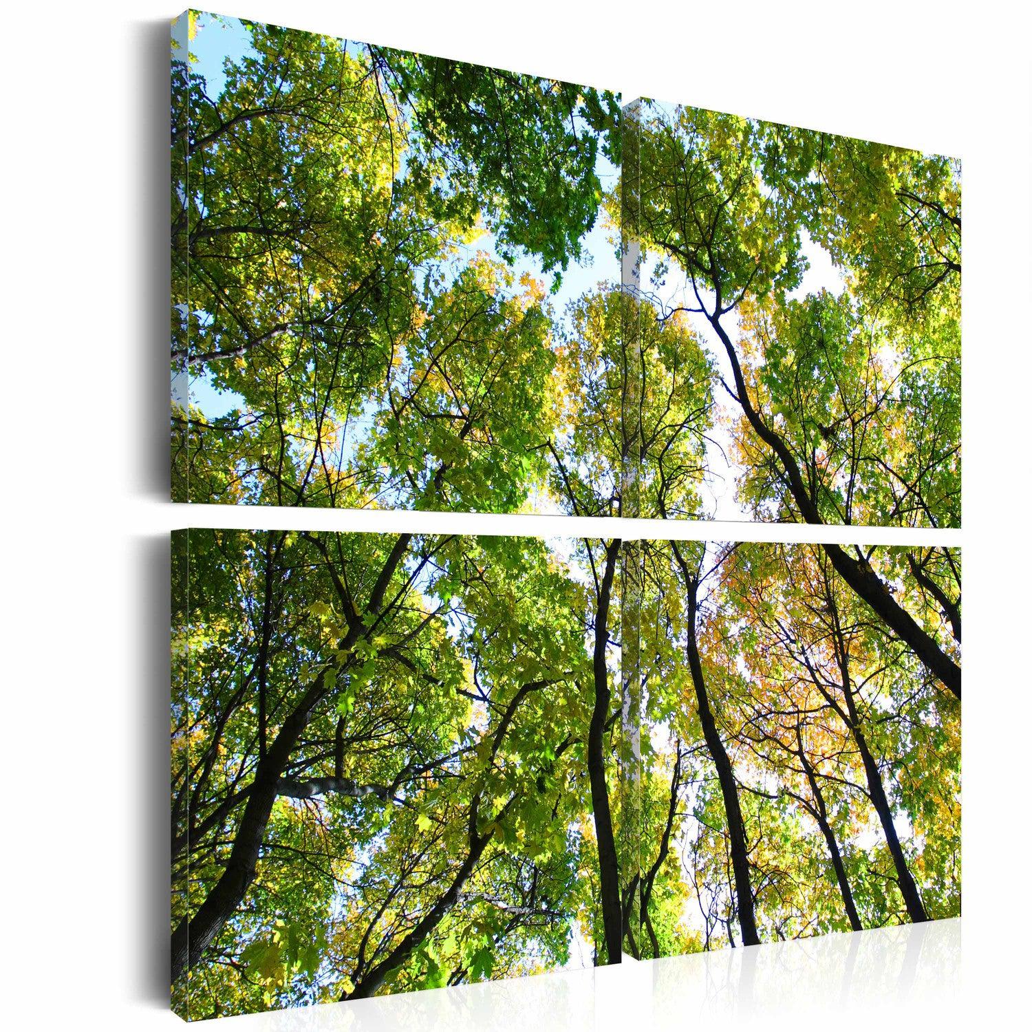 Canvas Tavla - Treetops-Tavla Canvas-Artgeist-40x40-peaceofhome.se