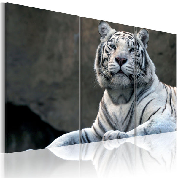 Canvas Tavla - White tiger-Tavla Canvas-Artgeist-60x40-peaceofhome.se
