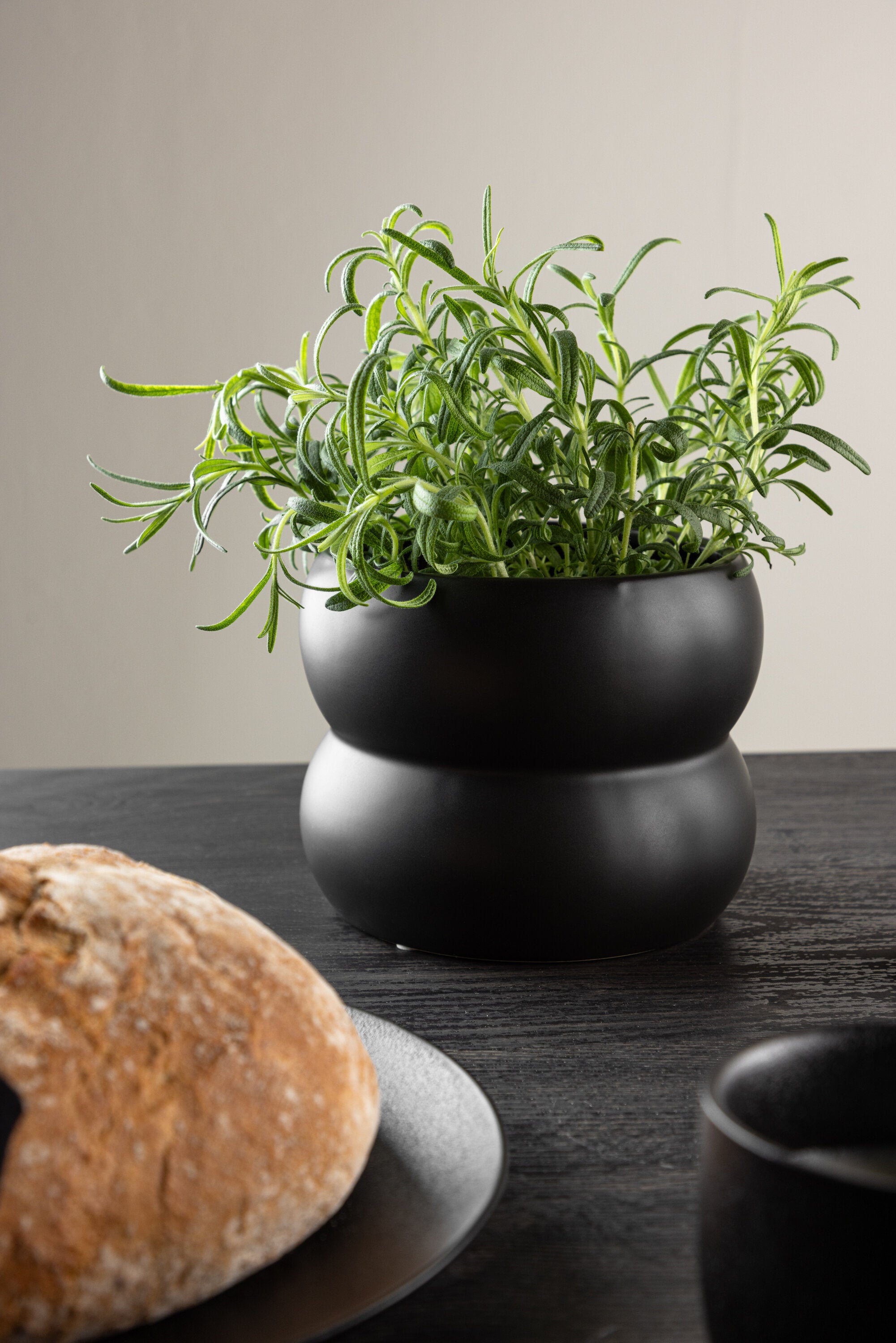 Dapne Kruka-Decoration-Venture Home-peaceofhome.se