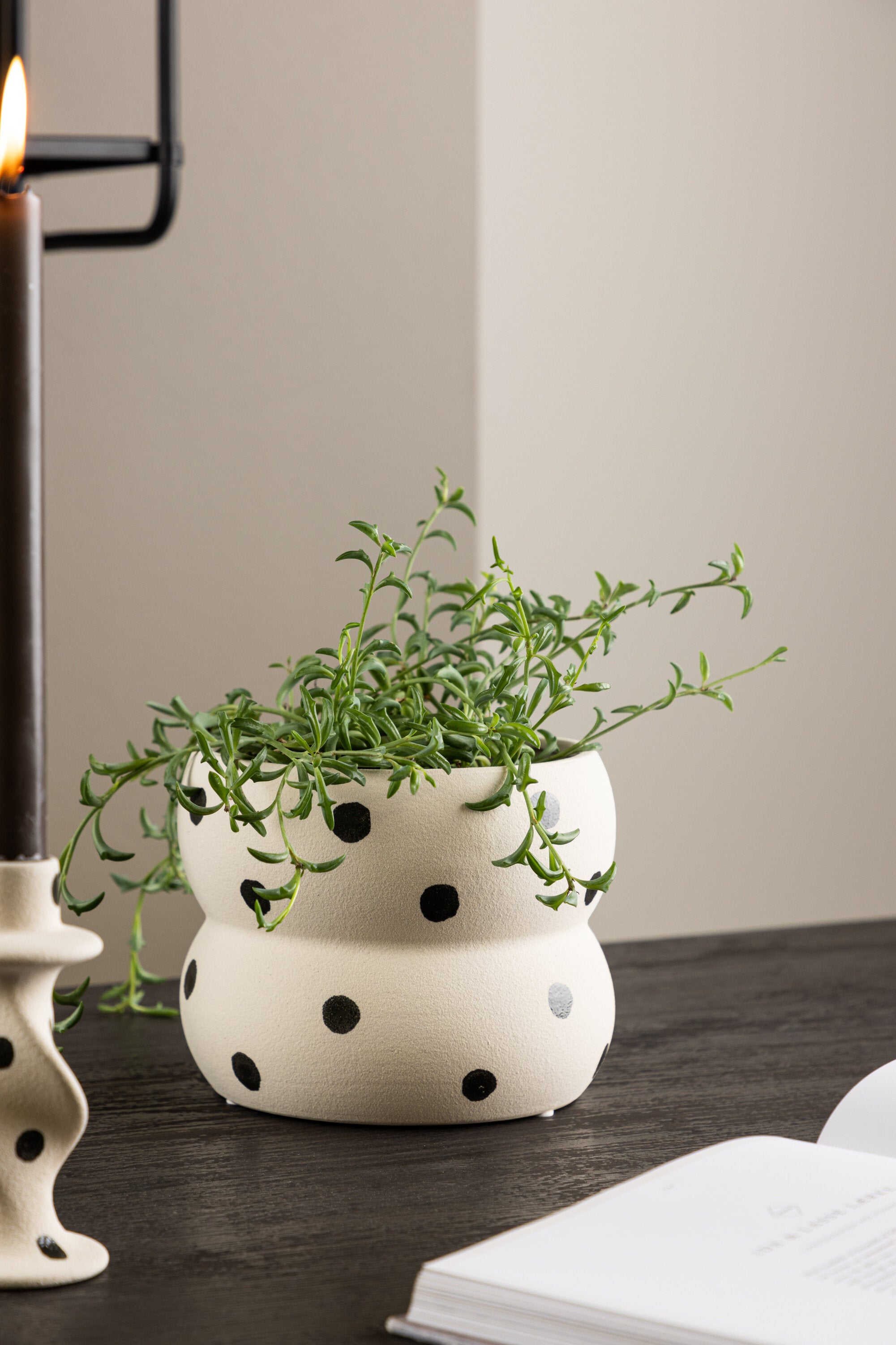 Dapne Kruka-Decoration-Venture Home-peaceofhome.se
