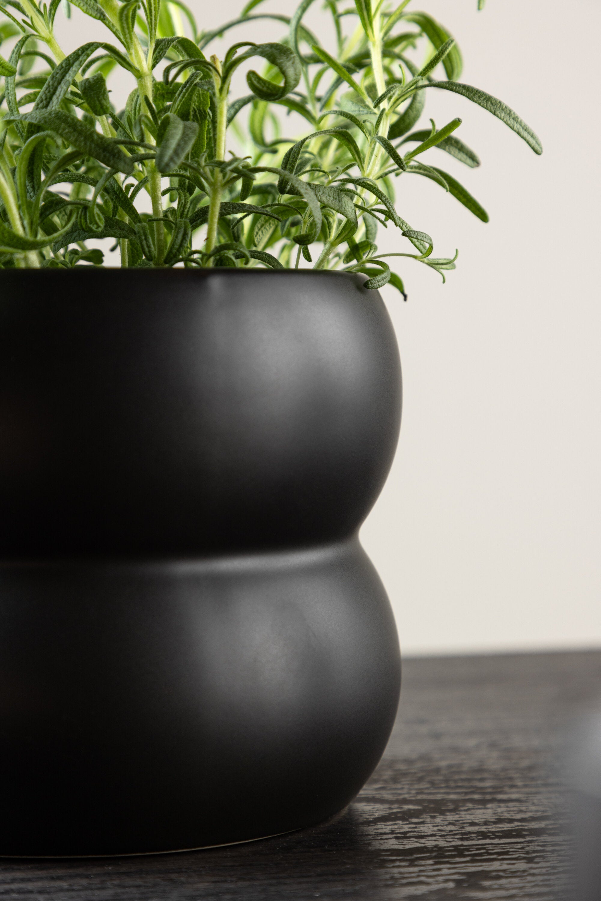Dapne Kruka-Decoration-Venture Home-peaceofhome.se