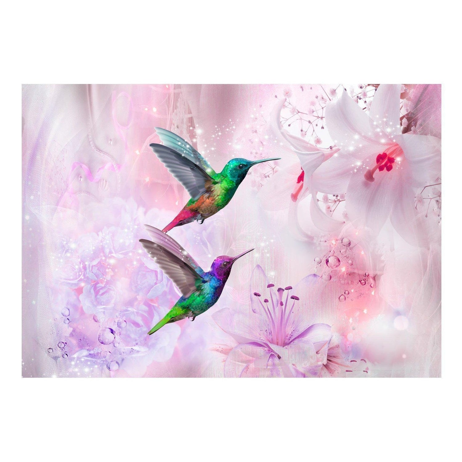 Fototapet - Colourful Hummingbirds (Purple)-Fototapet-Artgeist-peaceofhome.se