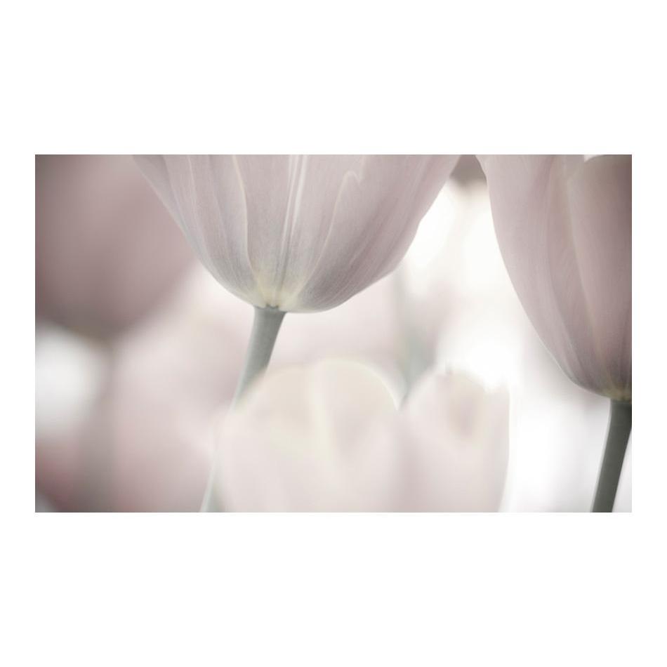 Fototapet - Tulips fine art - black and white-Fototapet-Artgeist-peaceofhome.se